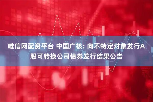 唯信网配资平台 中国广核: 向不特定对象发行A股可转换公司债券发行结果公告