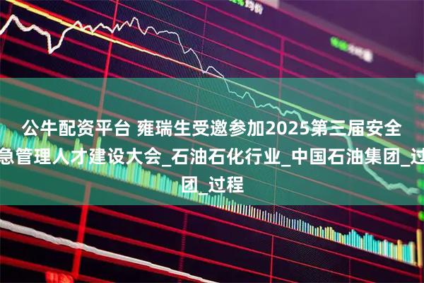 公牛配资平台 雍瑞生受邀参加2025第三届安全应急管理人才建设大会_石油石化行业_中国石油集团_过程